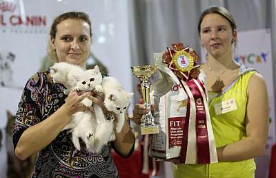   '--' 22-23  2014 12_165_169A8422 copy.jpg
